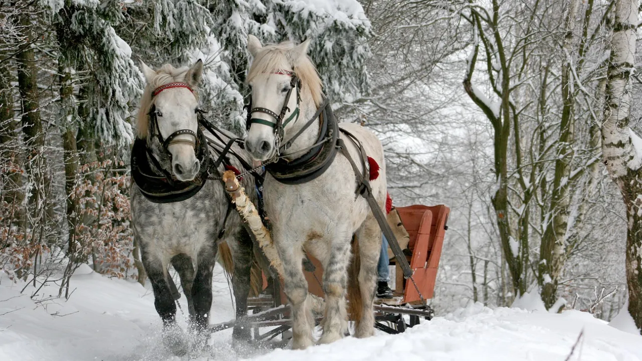 Majówka w Tatrach. Nowy transport nad Morskie Oko